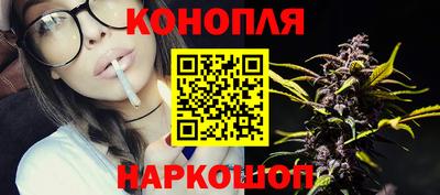 прущие грибы Малгобек