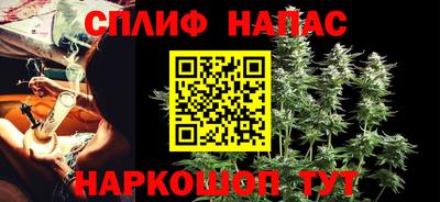прущие грибы Малгобек