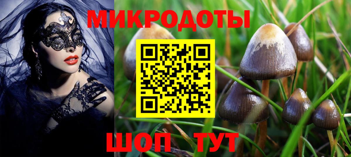 Пугачёв  Галлюциногенные грибы мухоморы  Вход с VPN 